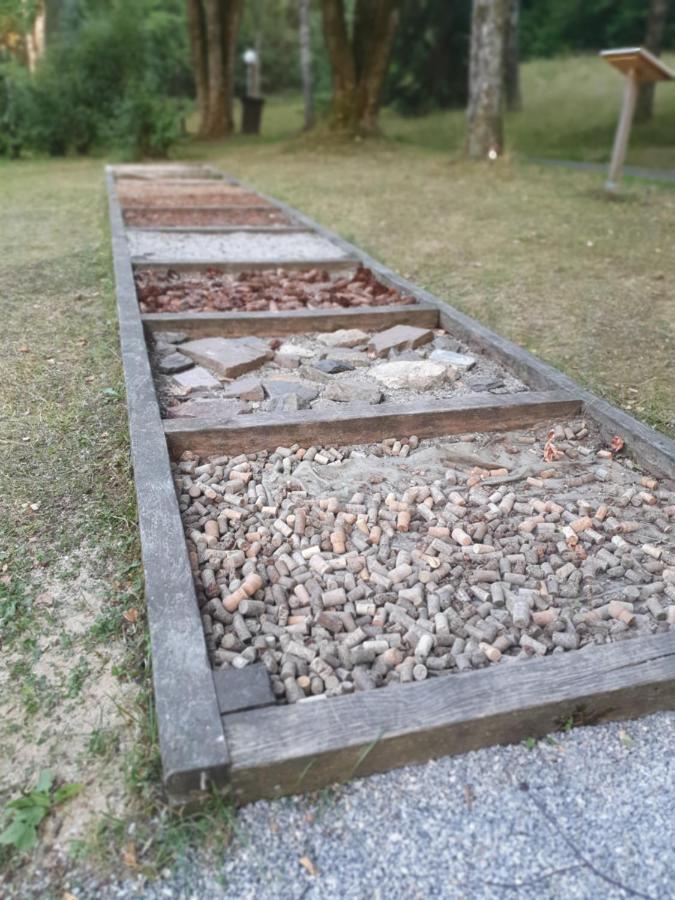 Modernisierte Ferienwohnung Naturseelen Mit Schwimmbad Und Sauna برونلاغ المظهر الخارجي الصورة